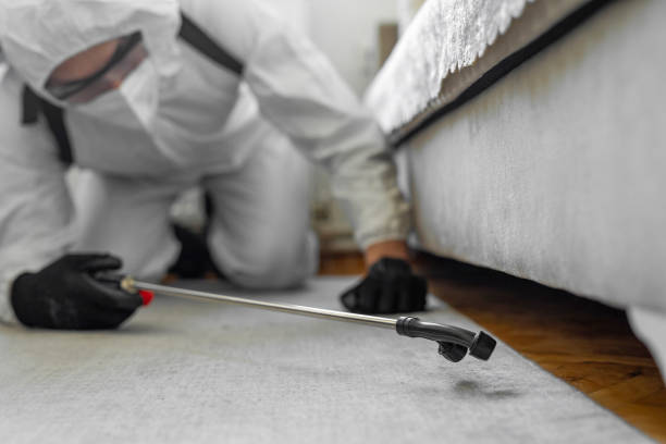 Professional Cockroach Control technician working in Troy, PA